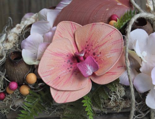 Phalaenopsis orchidea – ‘Annie’ hibrid