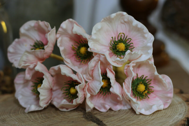 Anemone csokor - több féle - Image 2