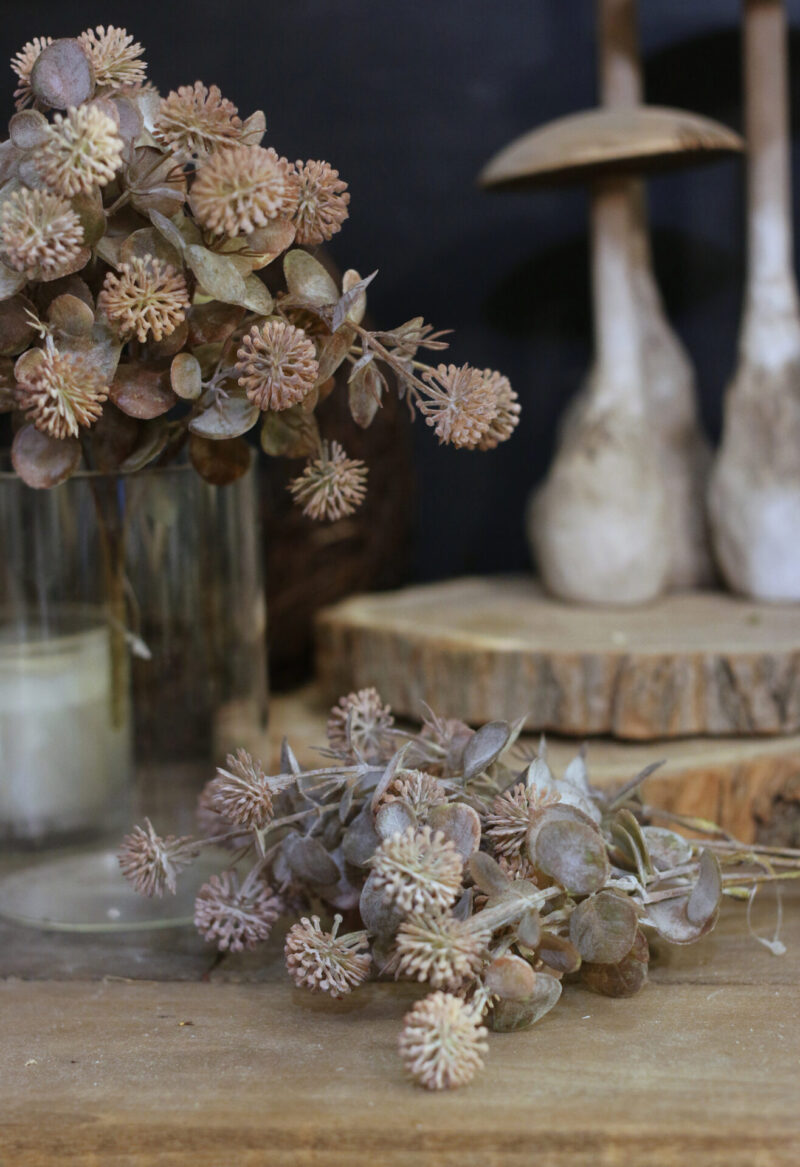 Hamvas trifolium