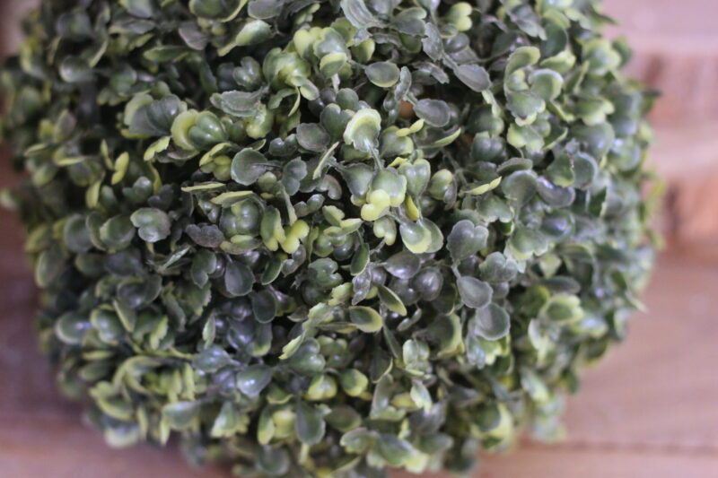 Buxus gömb - Image 2